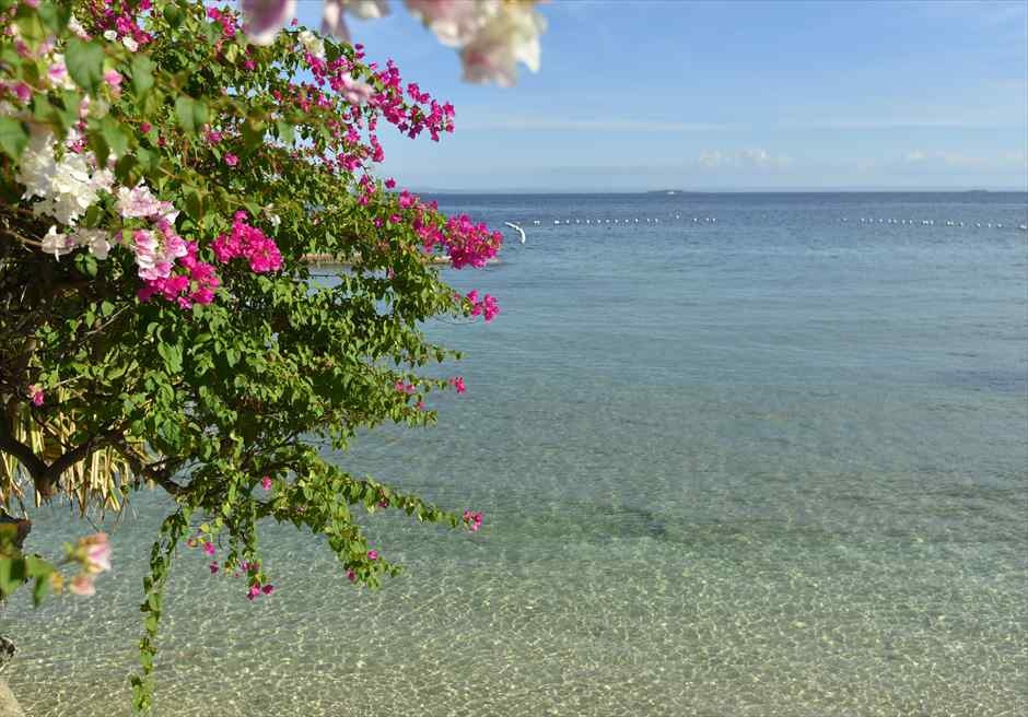 セブ島前撮り写真 フォトウェディング プランテーション ベイ リゾート スパ